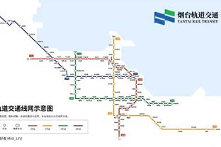 记者：莱奥年薪700万欧元，但本赛季他的意甲进球数和约维奇一样